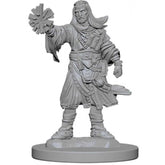 Mago Umano - 2 Miniature Pathfinder Deep Cuts